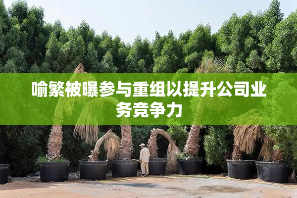 喻繁被曝参与重组以提升公司业务竞争力