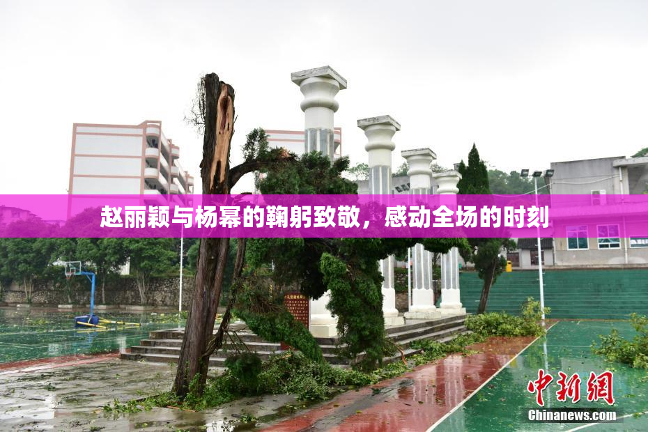 赵丽颖与杨幂的鞠躬致敬，感动全场的时刻
