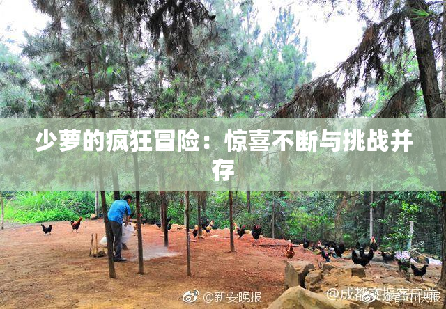 少萝的疯狂冒险：惊喜不断与挑战并存