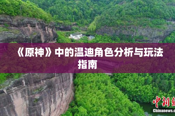 《原神》中的温迪角色分析与玩法指南