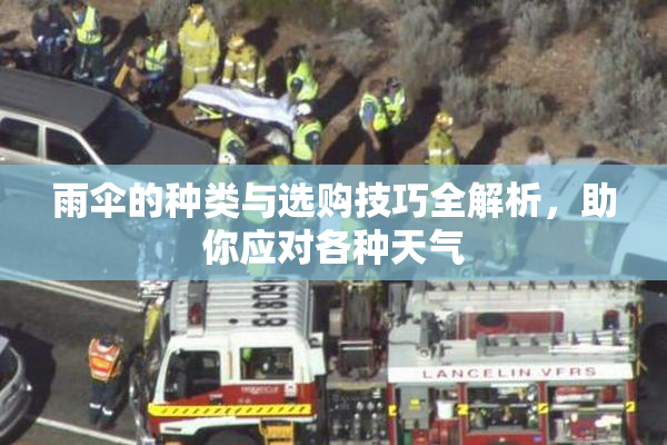 雨伞的种类与选购技巧全解析，助你应对各种天气