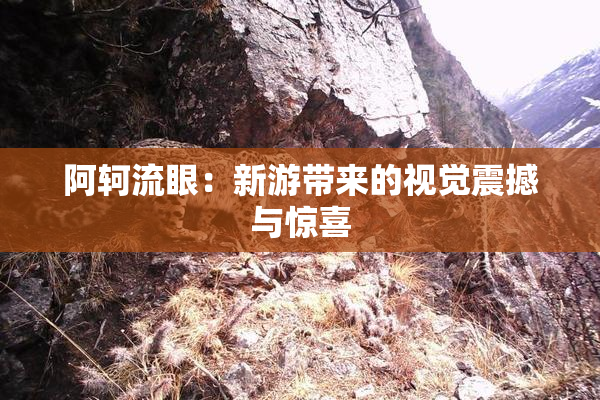阿轲流眼：新游带来的视觉震撼与惊喜