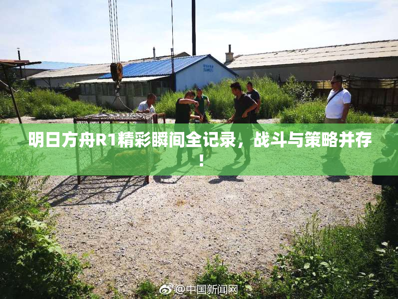 明日方舟R1精彩瞬间全记录，战斗与策略并存！