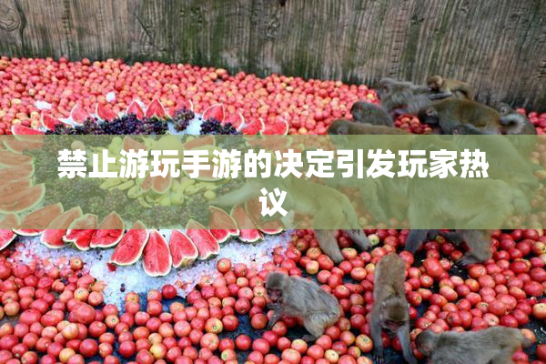 禁止游玩手游的决定引发玩家热议