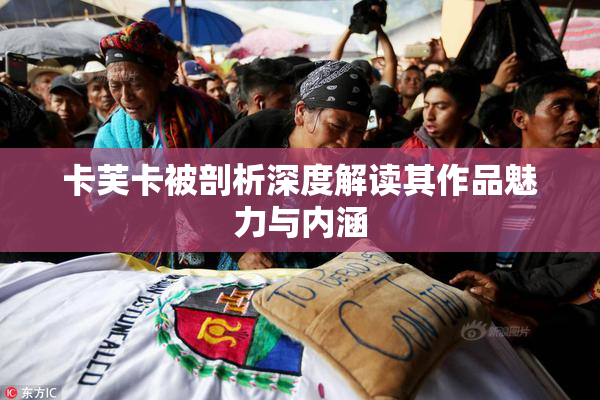 卡芙卡被剖析深度解读其作品魅力与内涵