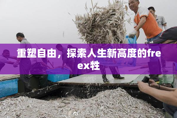 重塑自由，探索人生新高度的freex牲
