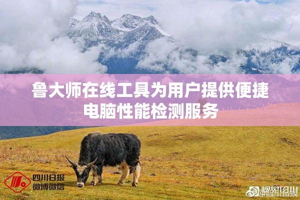 鲁大师在线工具为用户提供便捷电脑性能检测服务