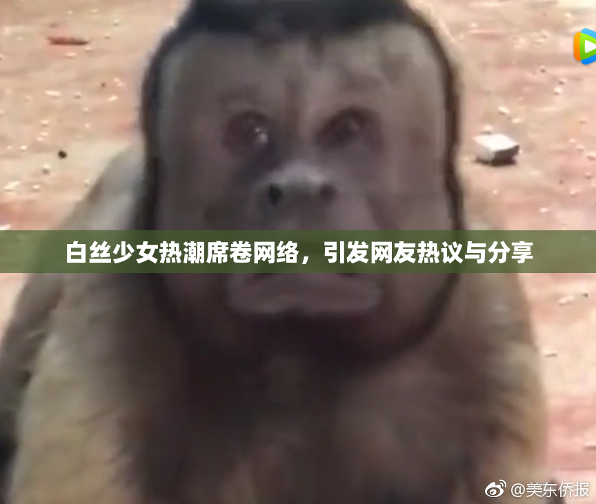 白丝少女热潮席卷网络，引发网友热议与分享
