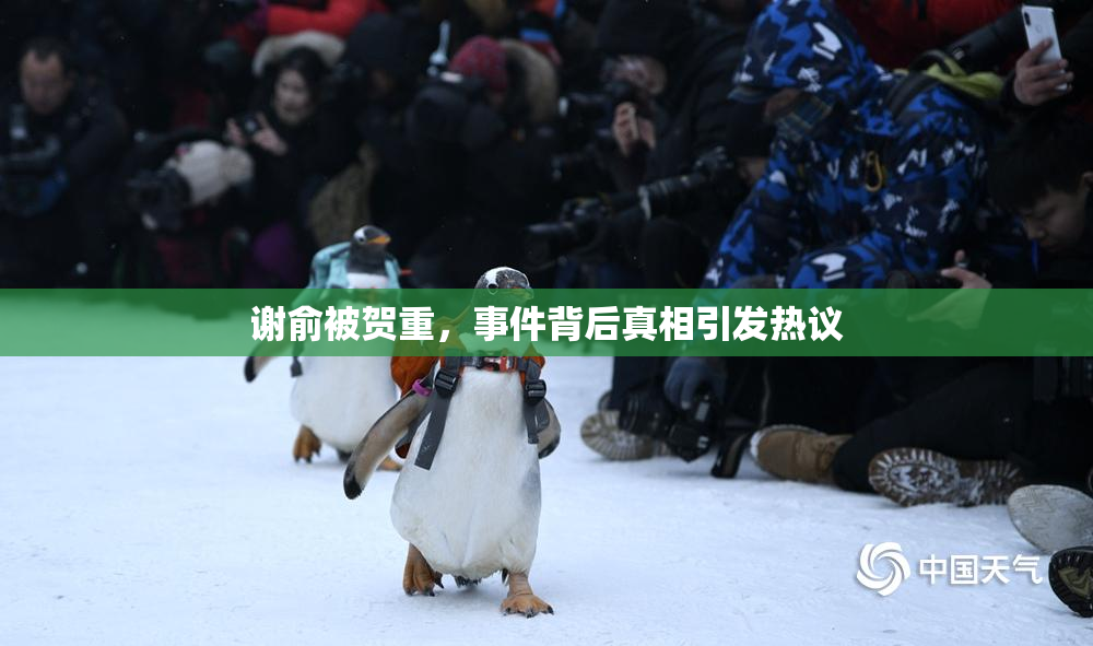 谢俞被贺重，事件背后真相引发热议