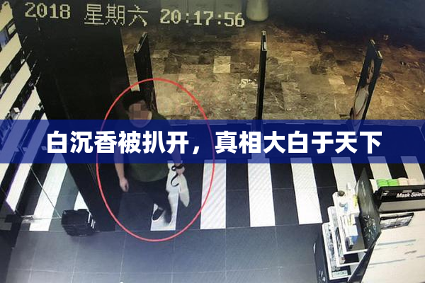 白沉香被扒开，真相大白于天下