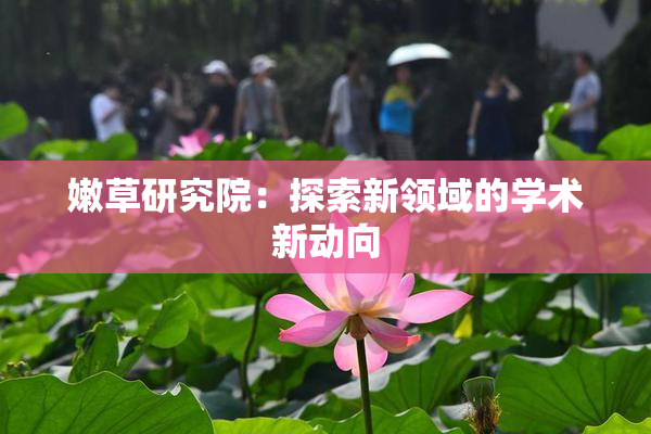 嫩草研究院：探索新领域的学术新动向