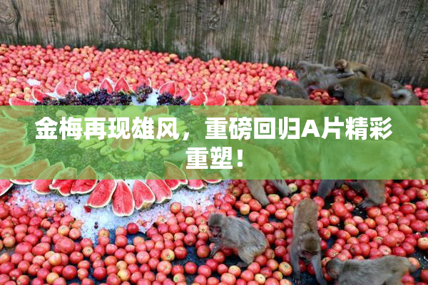 金梅再现雄风，重磅回归A片精彩重塑！
