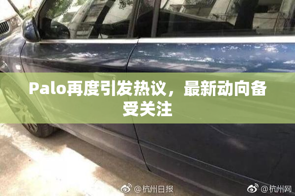 Palo再度引发热议，最新动向备受关注
