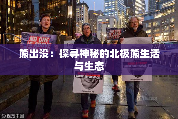 熊出没：探寻神秘的北极熊生活与生态