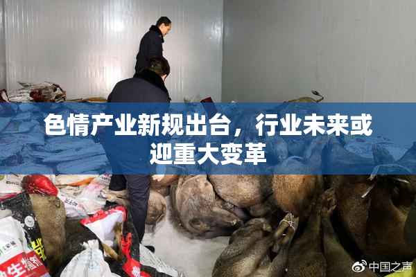 色情产业新规出台，行业未来或迎重大变革