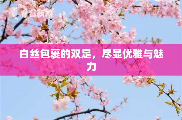 白丝包裹的双足，尽显优雅与魅力