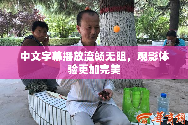 中文字幕播放流畅无阻，观影体验更加完美