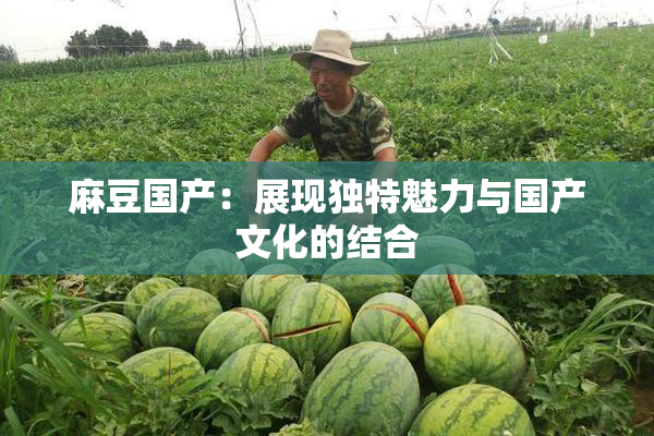 麻豆国产：展现独特魅力与国产文化的结合