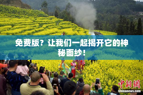 免费版？让我们一起揭开它的神秘面纱！