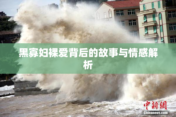 黑寡妇裸爱背后的故事与情感解析