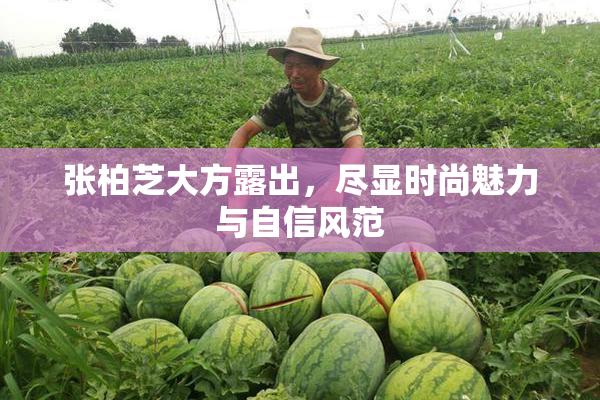 张柏芝大方露出，尽显时尚魅力与自信风范
