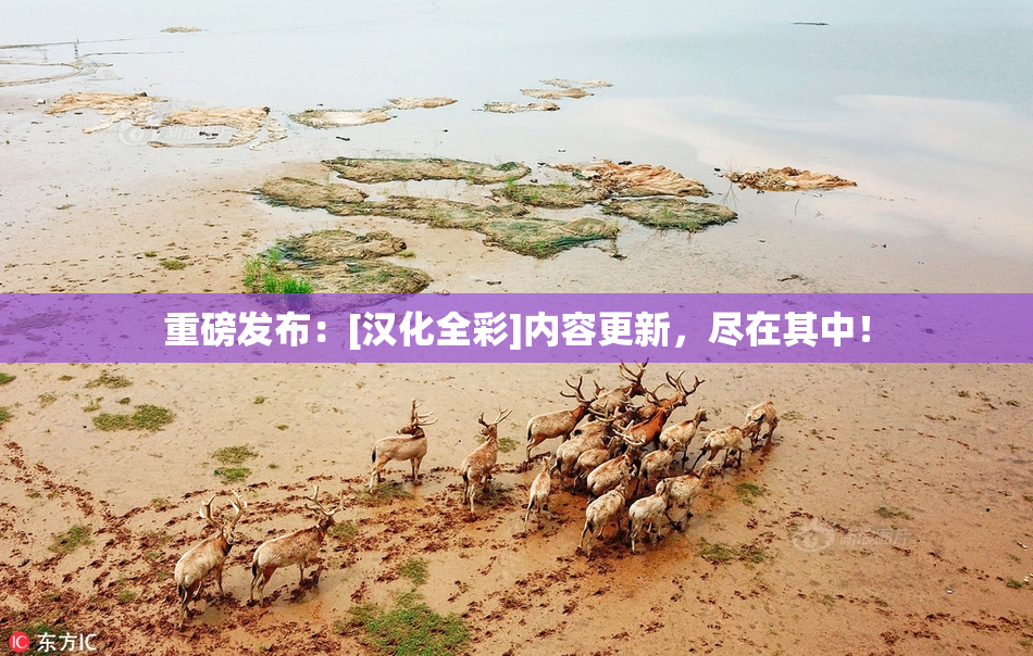 重磅发布：[汉化全彩]内容更新，尽在其中！