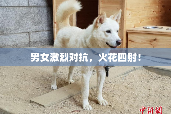 男女激烈对抗，火花四射！