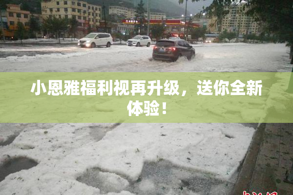 小恩雅福利视再升级，送你全新体验！
