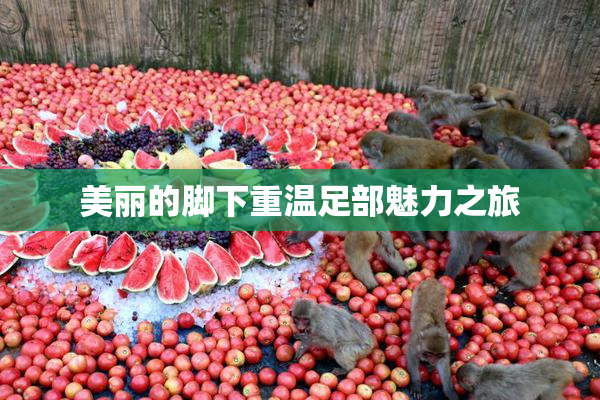 美丽的脚下重温足部魅力之旅