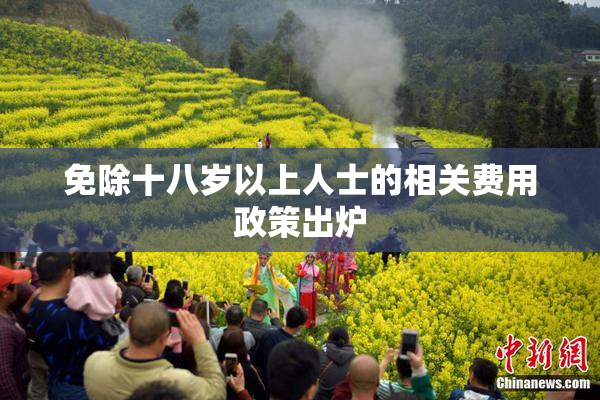 免除十八岁以上人士的相关费用政策出炉