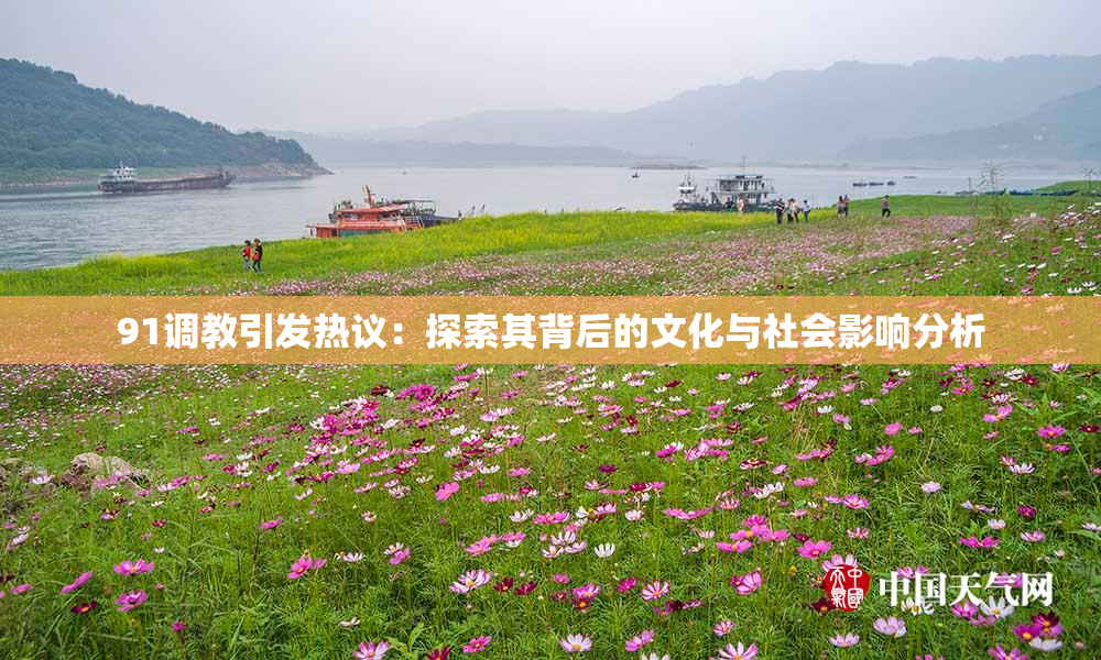 91调教引发热议：探索其背后的文化与社会影响分析