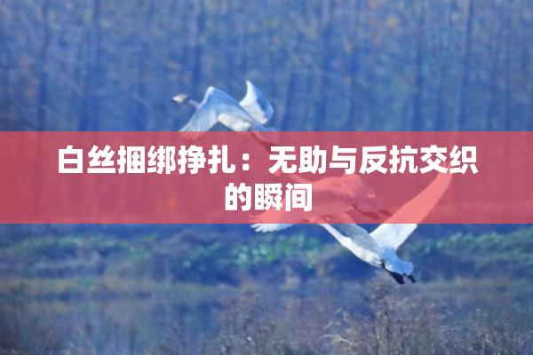 白丝捆绑挣扎：无助与反抗交织的瞬间