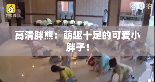 高清胖熊：萌趣十足的可爱小胖子！