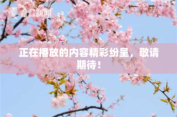 正在播放的内容精彩纷呈，敬请期待！