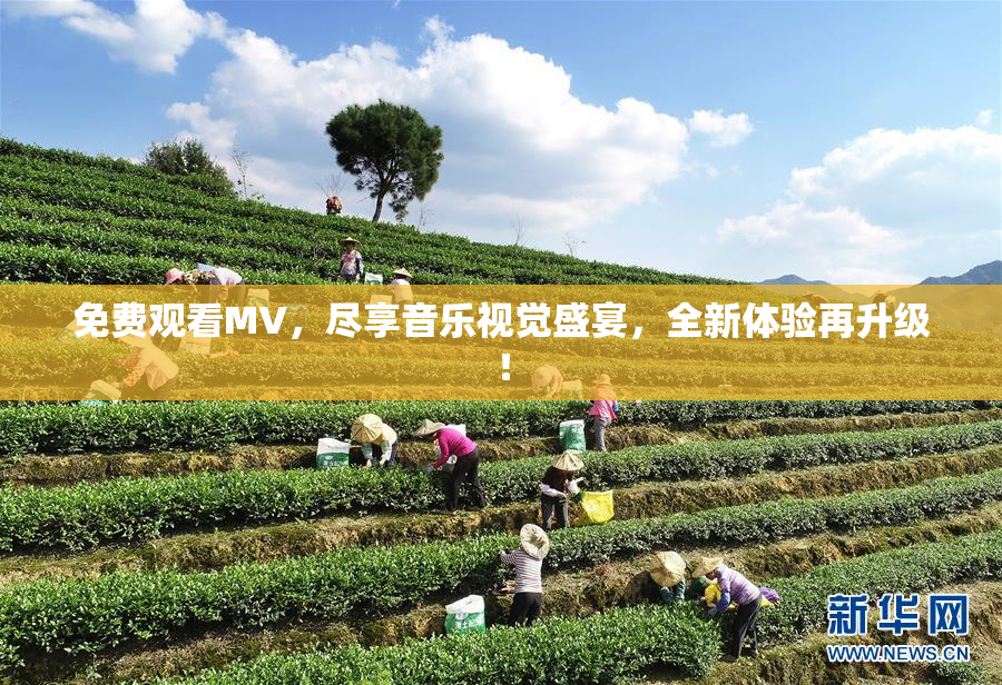 免费观看MV，尽享音乐视觉盛宴，全新体验再升级！
