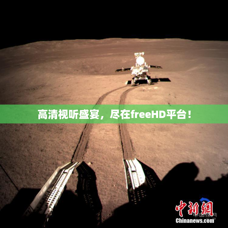 高清视听盛宴，尽在freeHD平台！