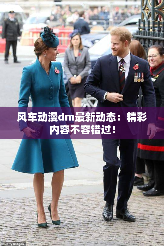 风车动漫dm最新动态：精彩内容不容错过！