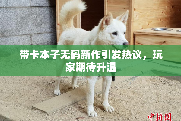 带卡本子无码新作引发热议，玩家期待升温
