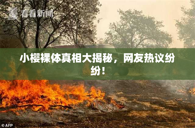 小樱裸体真相大揭秘，网友热议纷纷！