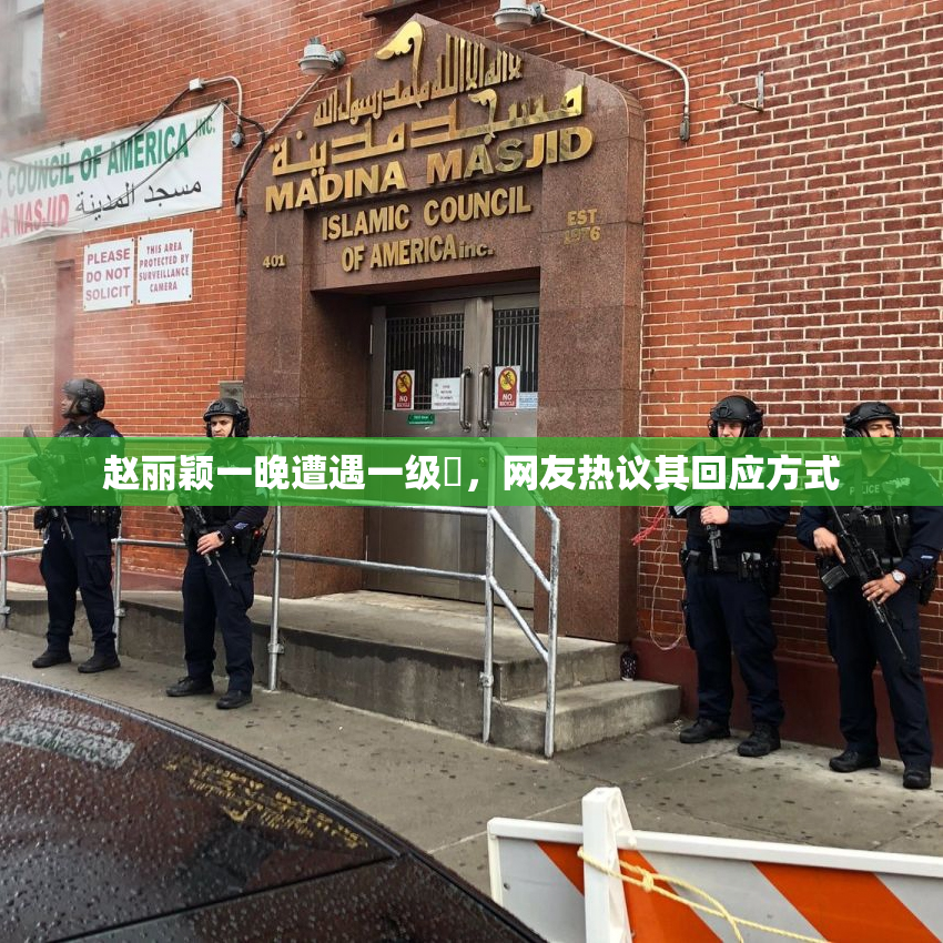 赵丽颖一晚遭遇一级婬，网友热议其回应方式