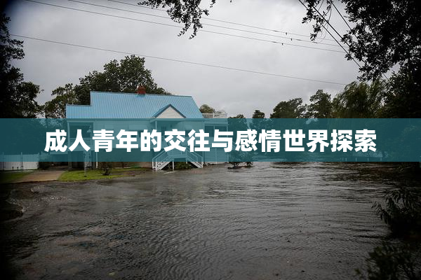 成人青年的交往与感情世界探索