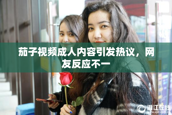 茄子视频成人内容引发热议，网友反应不一