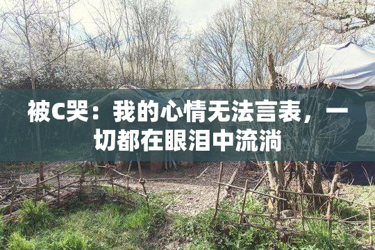 被C哭：我的心情无法言表，一切都在眼泪中流淌