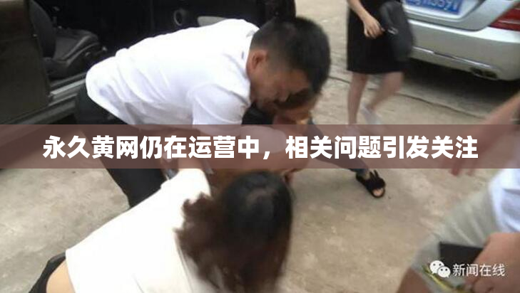 永久黄网仍在运营中，相关问题引发关注