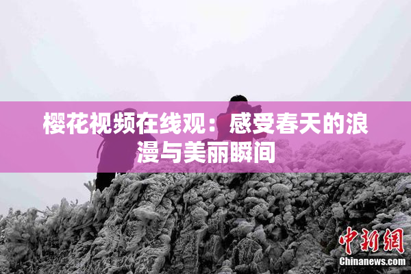 樱花视频在线观：感受春天的浪漫与美丽瞬间