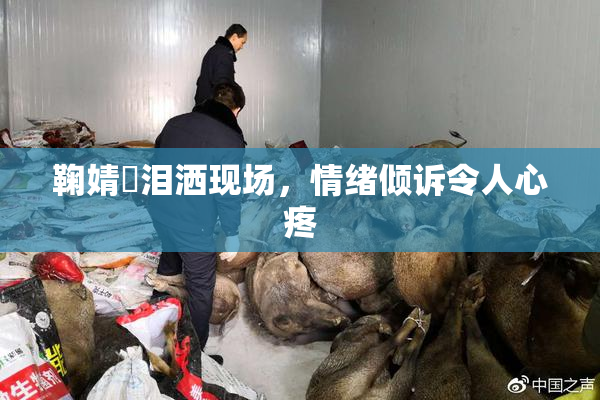 鞠婧祎泪洒现场，情绪倾诉令人心疼