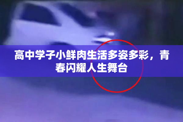 高中学子小鲜肉生活多姿多彩，青春闪耀人生舞台