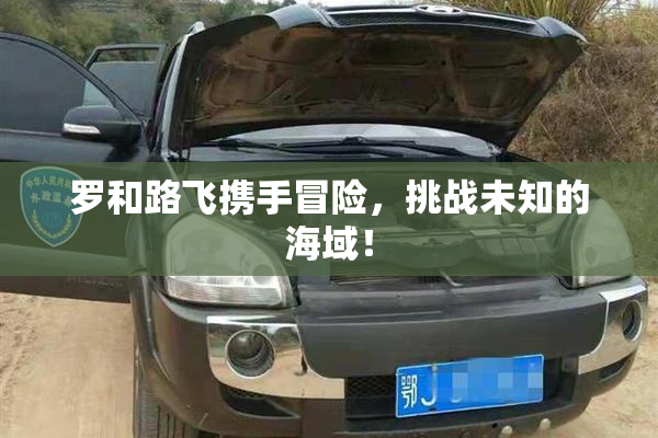 罗和路飞携手冒险，挑战未知的海域！