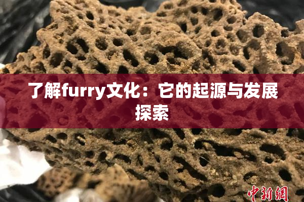 了解furry文化：它的起源与发展探索