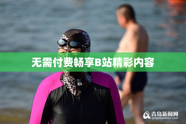 无需付费畅享B站精彩内容